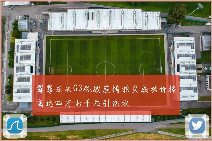 霉霉东决G3观战座椅拍卖成功价格高达四万七千元引热议