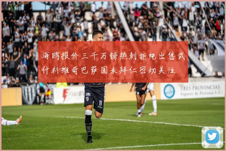 海鸥报价三千万镑热刺拒绝出售武什科维奇巴萨国米拜仁密切关注
